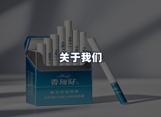 关于我们